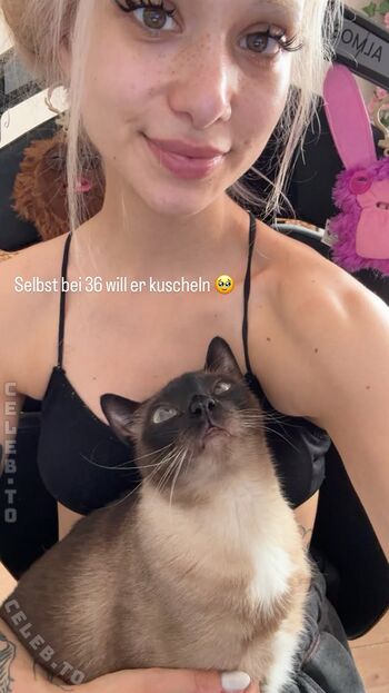 🔥 Almostfeline leaked private photo uncensored full