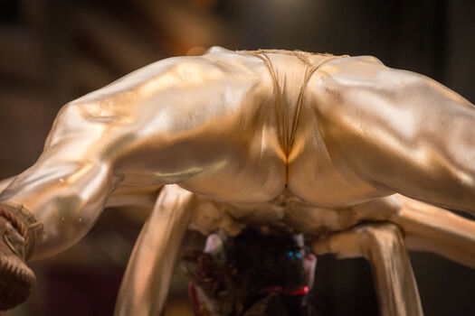 🔥 Asian adult event page leaked private photo uncensored full