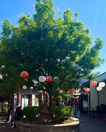 🔥 Bunnirue leaked private photo uncensored full