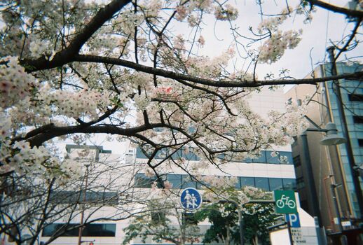 🔥 Dosya gasai  page leaked private photo uncensored full