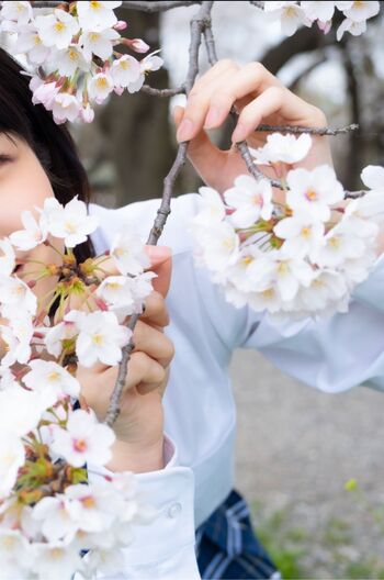 🔥 Jav actress gravure page leaked private photo uncensored full