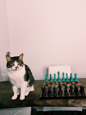 🔥 Nemsko  page leaked private photo uncensored full