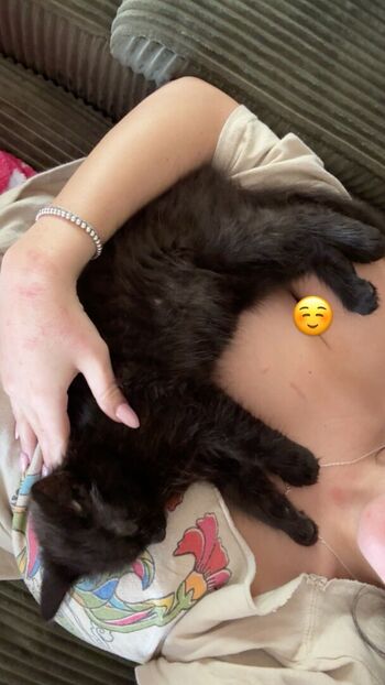 🔥 Nnevelpappermann leaked private photo uncensored full
