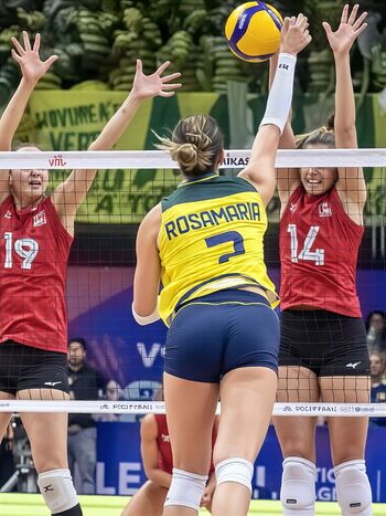 🔥 Rosamaria montibeller leaked private photo uncensored full